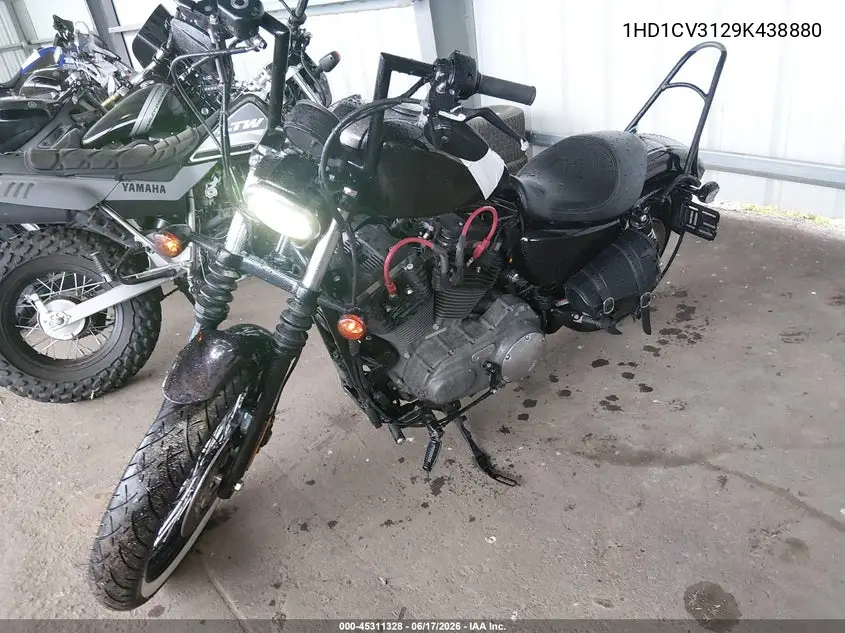 2009 Harley-Davidson Xl1200 N VIN: 1HD1CZ3129K438880 Lot: 45311328