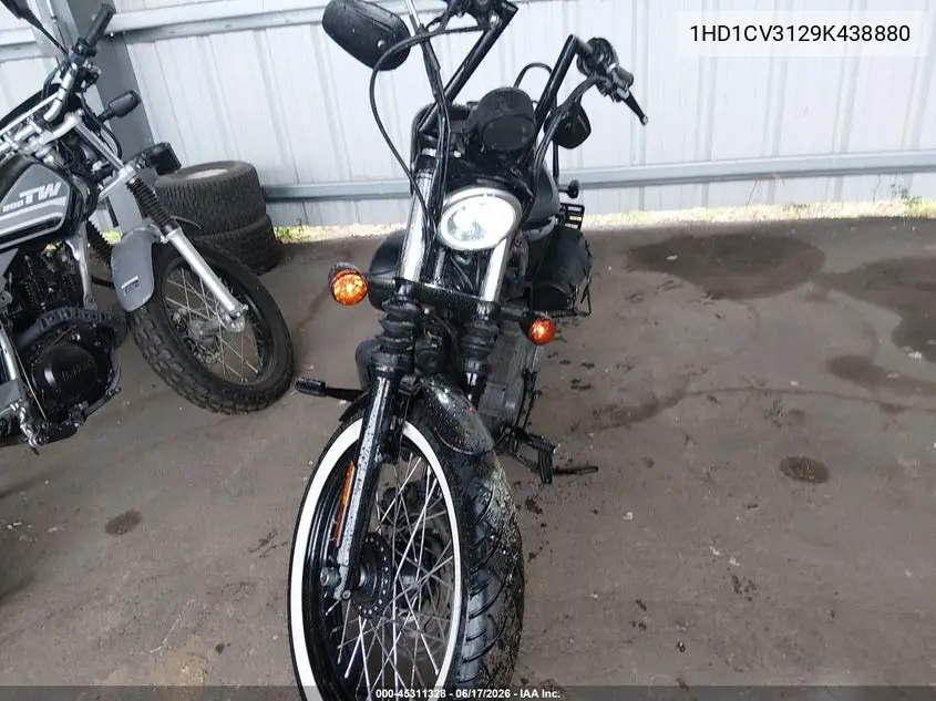2009 Harley-Davidson Xl1200 N VIN: 1HD1CZ3129K438880 Lot: 45311328