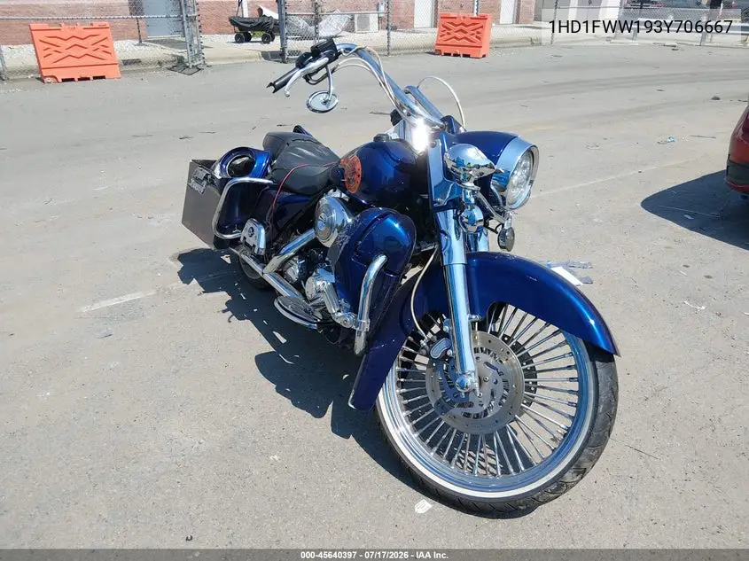 2003 Harley-Davidson Flhri Shrine VIN: 1HD1FWW193Y706667 Lot: 45640397