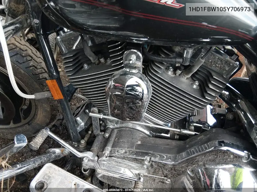 2005 Harley-Davidson Flhri VIN: 1HD1FBW105Y706973 Lot: 45563473