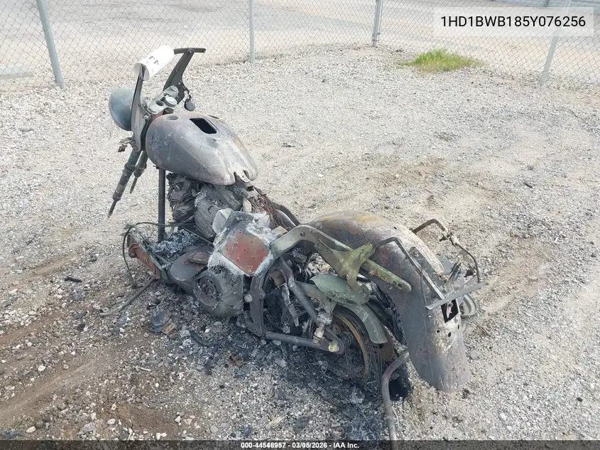 2005 Harley-Davidson Flstci VIN: 1HD1BWB185Y076256 Lot: 44546957