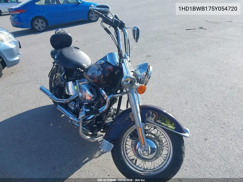 2005 Harley-Davidson Flstci VIN: 1HD1BWB175Y054720 Lot: 45193846