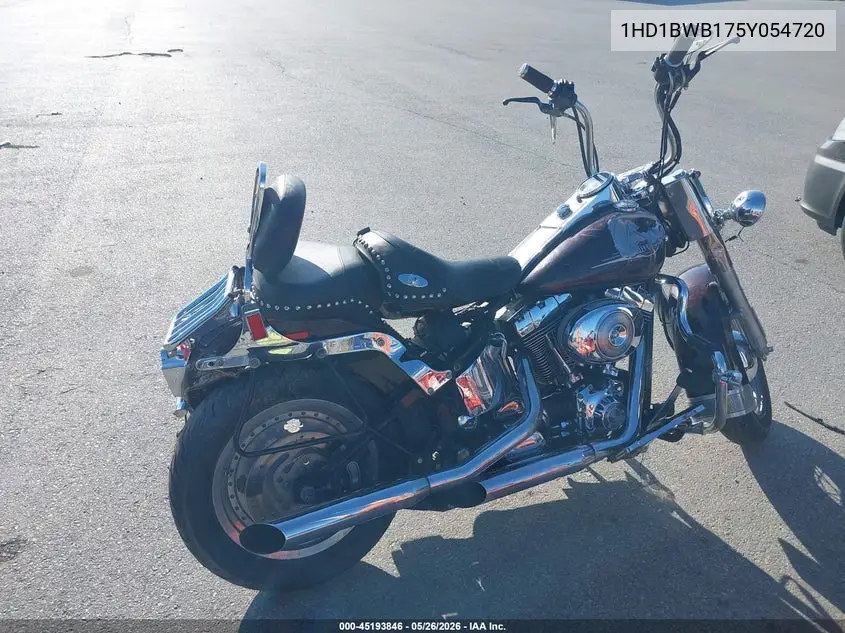 2005 Harley-Davidson Flstci VIN: 1HD1BWB175Y054720 Lot: 45193846