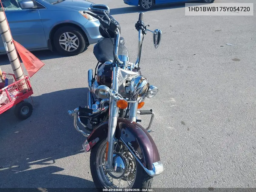 2005 Harley-Davidson Flstci VIN: 1HD1BWB175Y054720 Lot: 45193846