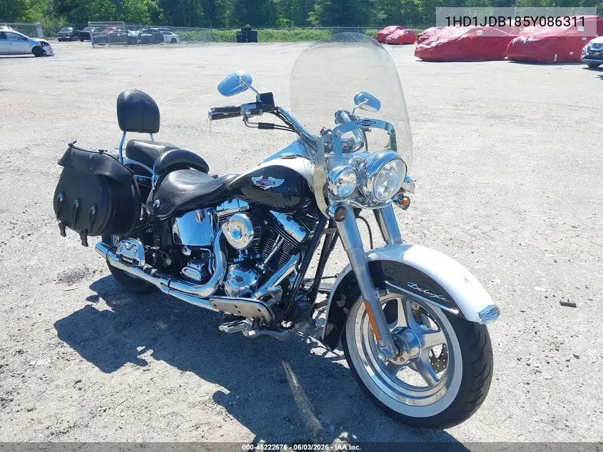 2005 Harley-Davidson Flstni VIN: 1HD1JDB185Y086311 Lot: 45222676