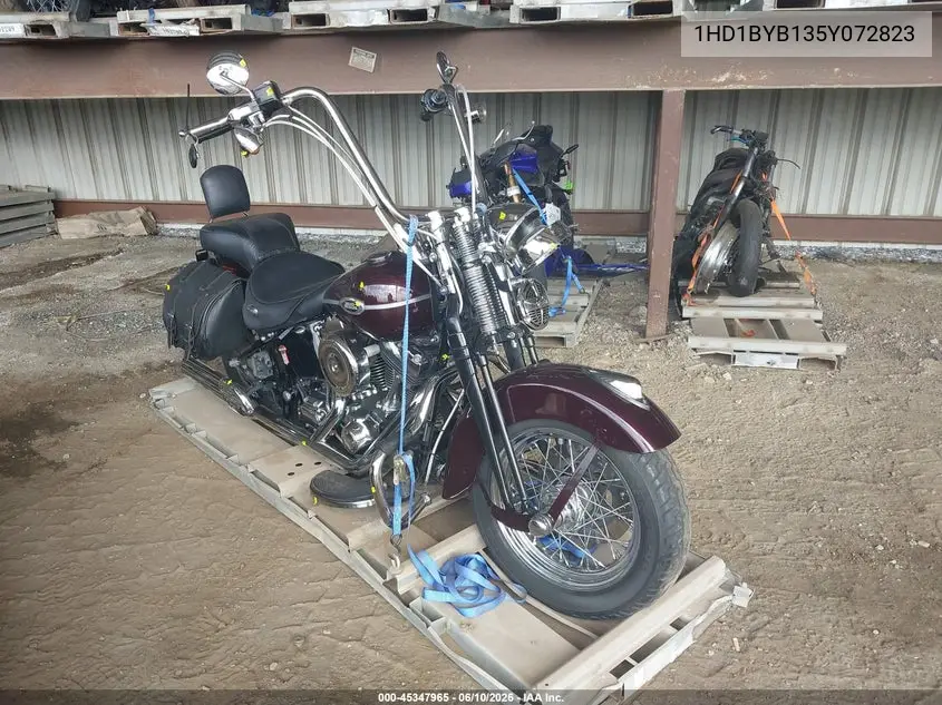 2005 Harley-Davidson Flstsi VIN: 1HD1BYB135Y072823 Lot: 45347965
