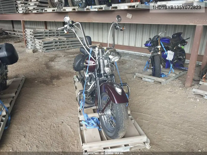 2005 Harley-Davidson Flstsi VIN: 1HD1BYB135Y072823 Lot: 45347965
