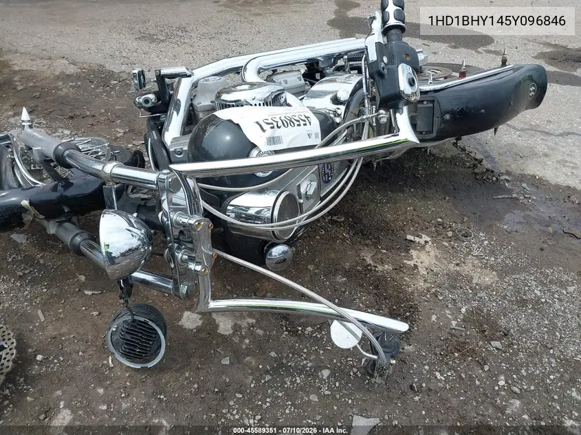 2005 Harley-Davidson Fxst VIN: 1HD1BHY145Y096846 Lot: 45589351