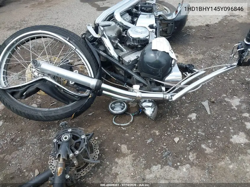 2005 Harley-Davidson Fxst VIN: 1HD1BHY145Y096846 Lot: 45589351