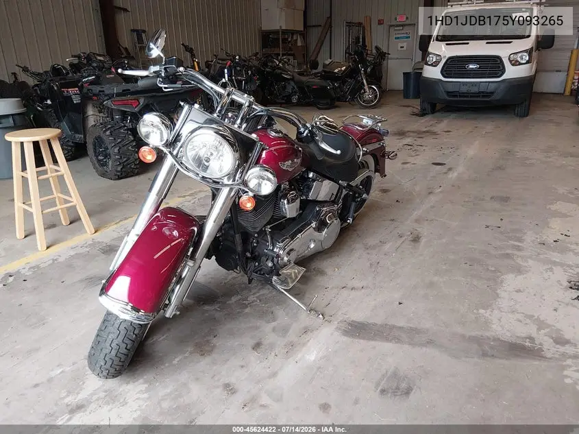 2005 Harley-Davidson Flstni VIN: 1HD1JDB175Y093265 Lot: 45624422