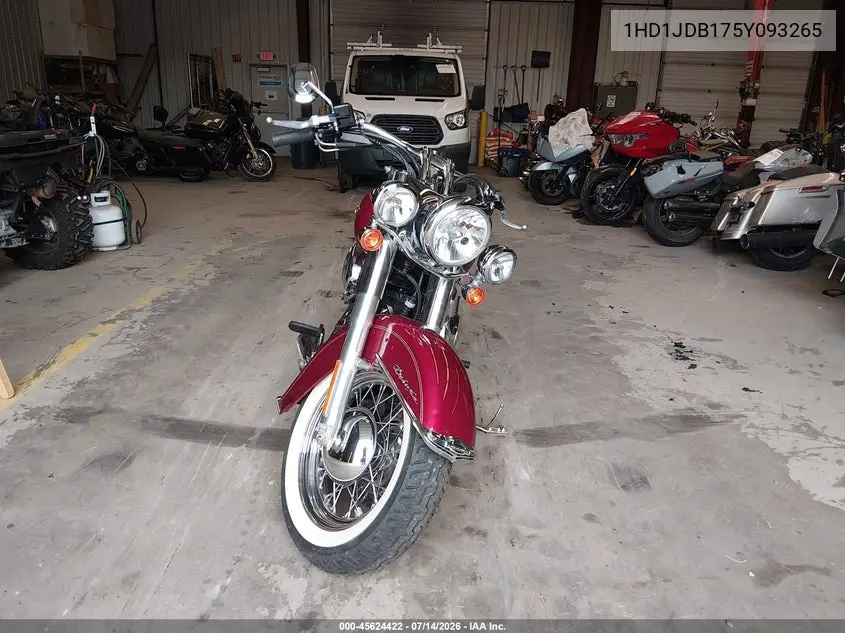 2005 Harley-Davidson Flstni VIN: 1HD1JDB175Y093265 Lot: 45624422