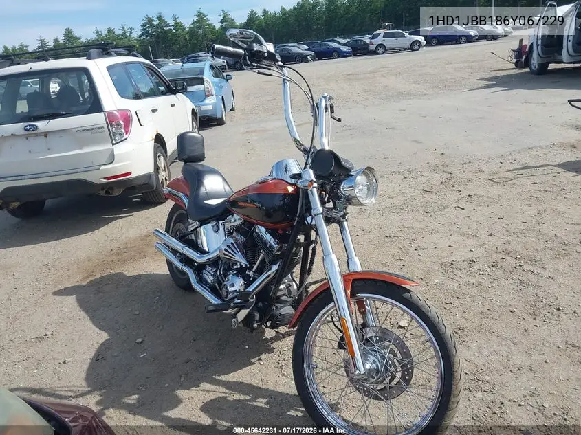 2006 Harley-Davidson Fxstdi VIN: 1HD1JBB186Y067229 Lot: 45642231