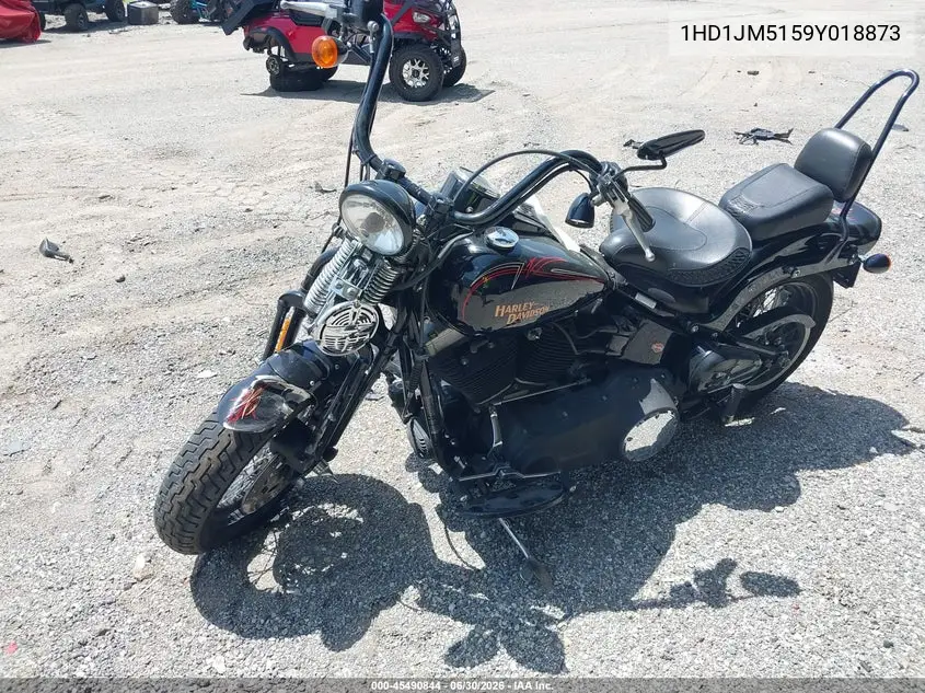 2009 Harley-Davidson Flstsb VIN: 1HD1JM5159Y018873 Lot: 45490844