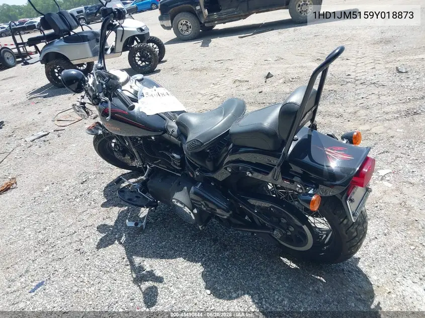 2009 Harley-Davidson Flstsb VIN: 1HD1JM5159Y018873 Lot: 45490844