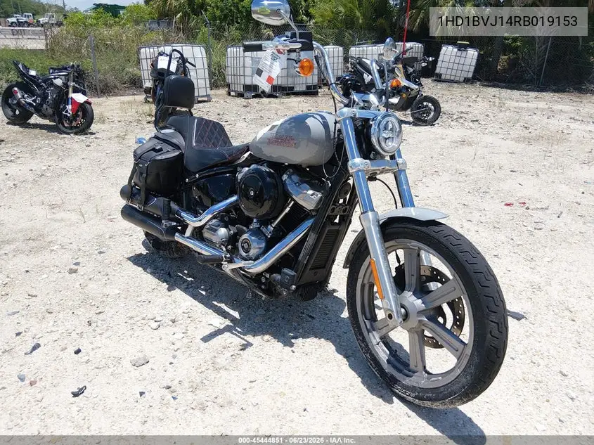 2024 Harley-Davidson Fxst VIN: 1HD1BVJ14RB019153 Lot: 45444851