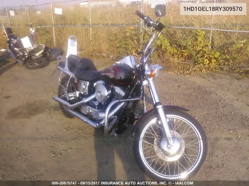 1994 Harley-Davidson Fxdwg VIN: 1HD1GEL18RY309570 Lot: 20670747