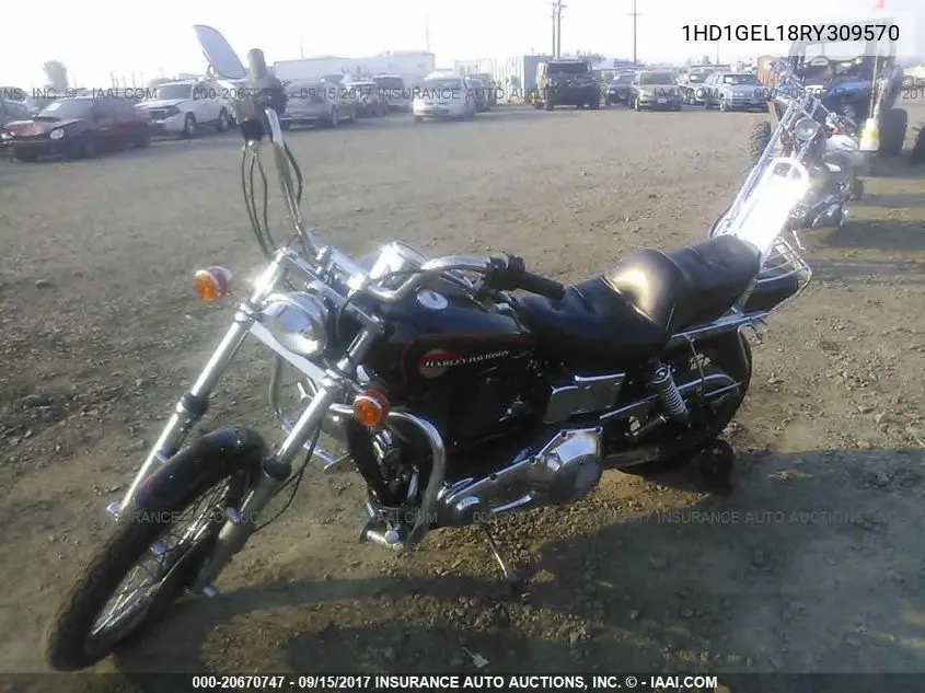 1994 Harley-Davidson Fxdwg VIN: 1HD1GEL18RY309570 Lot: 20670747