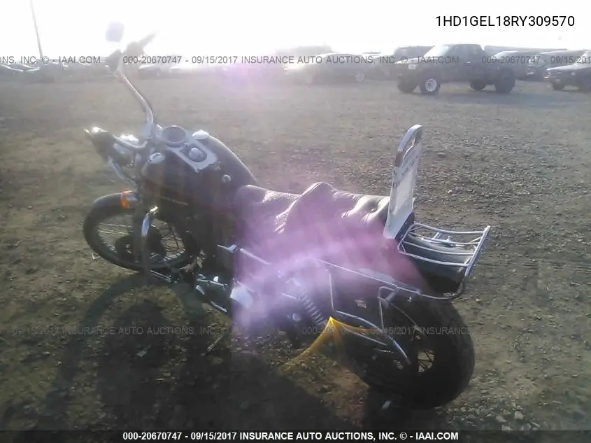 1994 Harley-Davidson Fxdwg VIN: 1HD1GEL18RY309570 Lot: 20670747