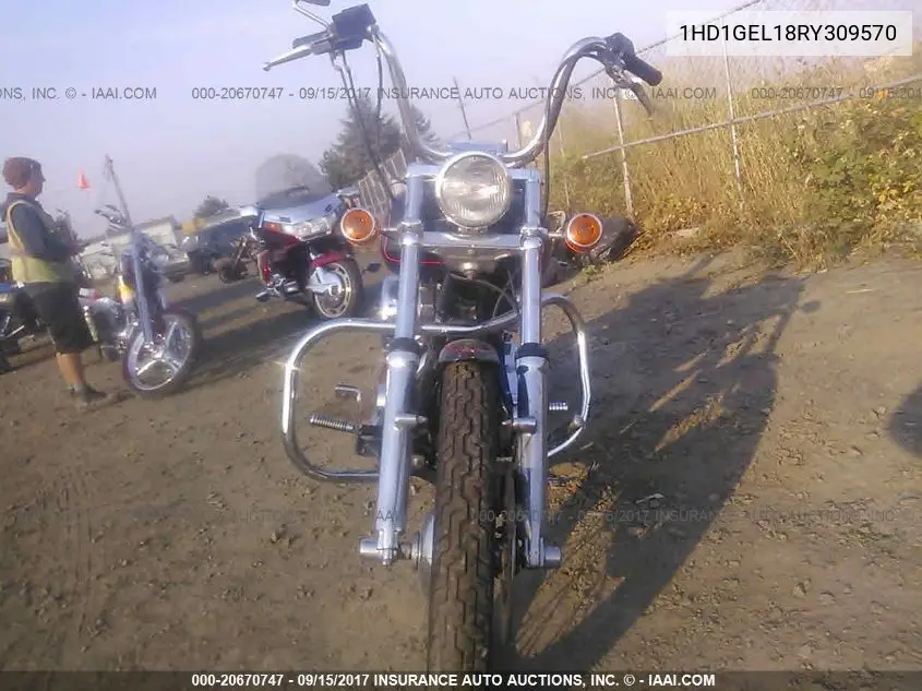 1994 Harley-Davidson Fxdwg VIN: 1HD1GEL18RY309570 Lot: 20670747