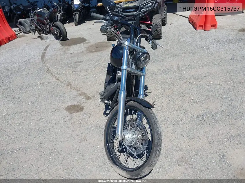 2012 Harley-Davidson Fxdwg Dyna Wide Glide VIN: 1HD1GPM16CC315737 Lot: 45269293