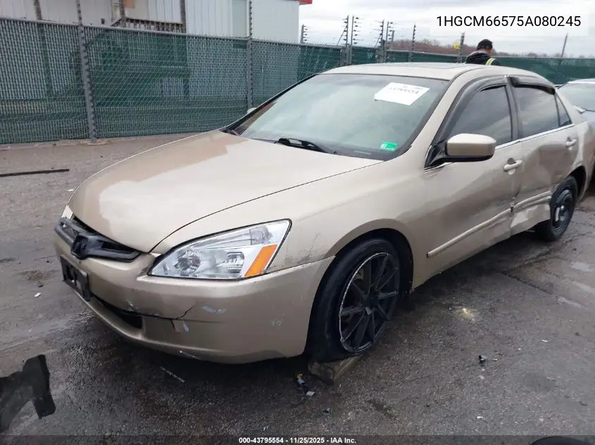 1HGCM66575A080245 2005 Honda Accord 3.0 Ex