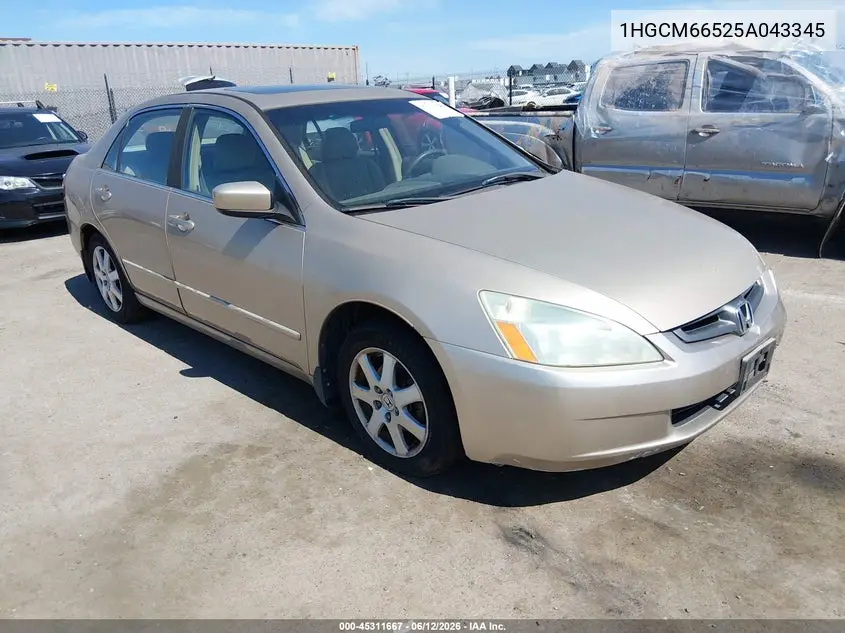 2005 Honda Accord 3.0 Ex VIN: 1HGCM66525A043345 Lot: 45311667