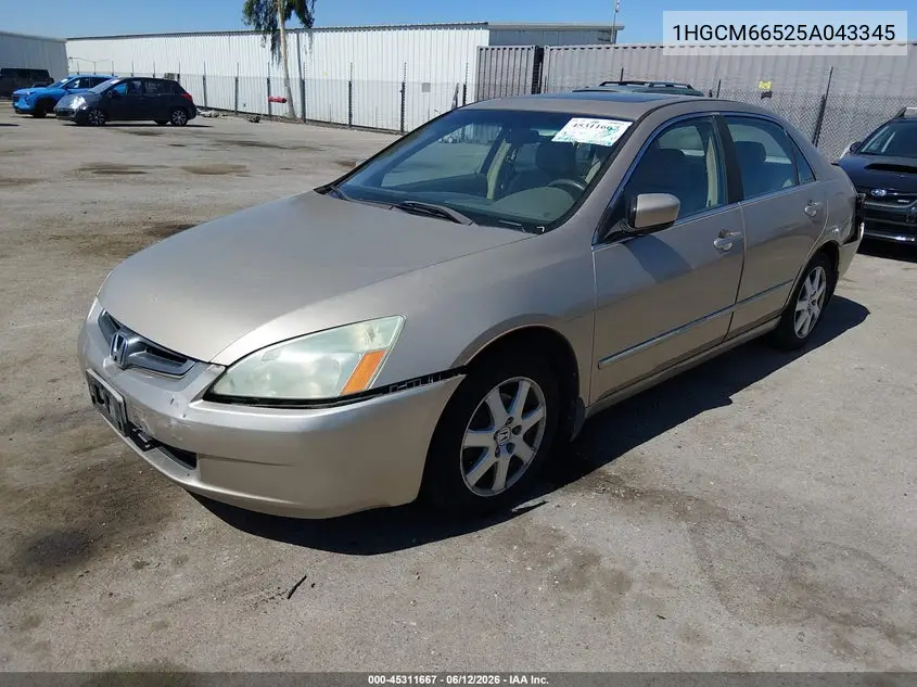 2005 Honda Accord 3.0 Ex VIN: 1HGCM66525A043345 Lot: 45311667