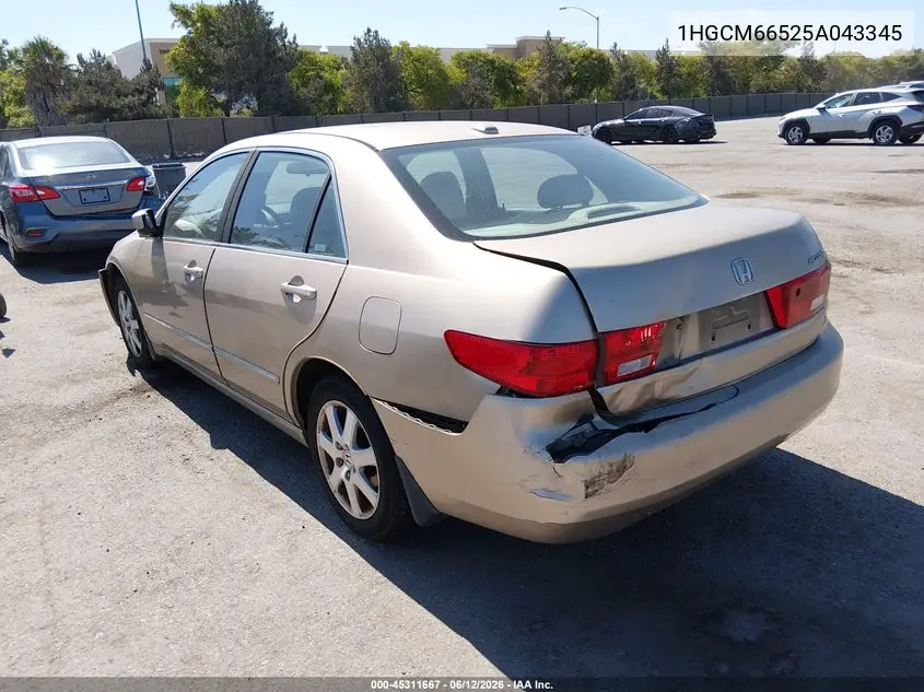 2005 Honda Accord 3.0 Ex VIN: 1HGCM66525A043345 Lot: 45311667