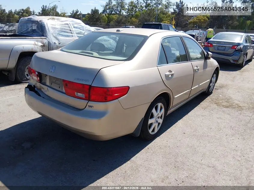 2005 Honda Accord 3.0 Ex VIN: 1HGCM66525A043345 Lot: 45311667