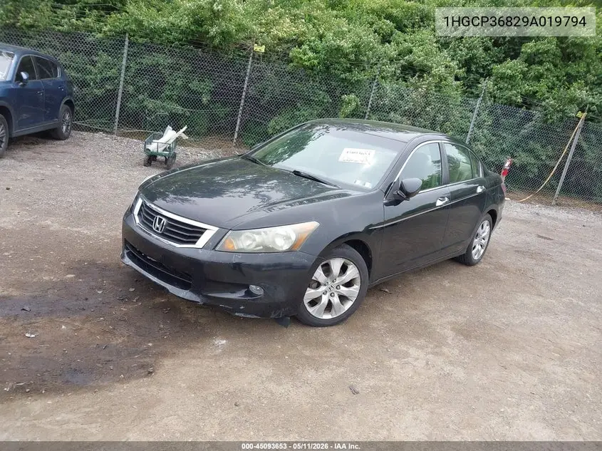2009 Honda Accord 3.5 Ex-L VIN: 1HGCP36829A019794 Lot: 45093653
