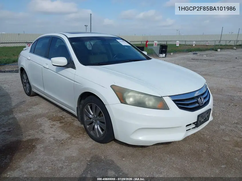 2011 Honda Accord 2.4 Ex-L VIN: 1HGCP2F85BA101986 Lot: 45680088