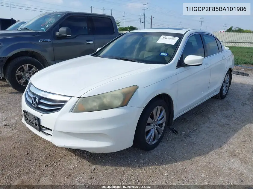 2011 Honda Accord 2.4 Ex-L VIN: 1HGCP2F85BA101986 Lot: 45680088