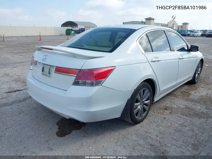 2011 Honda Accord 2.4 Ex-L VIN: 1HGCP2F85BA101986 Lot: 45680088