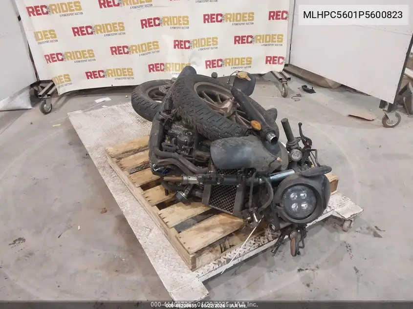 2023 Honda Cmx500 VIN: MLHPC5601P5600823 Lot: 45205655