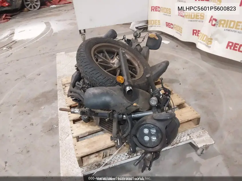 2023 Honda Cmx500 VIN: MLHPC5601P5600823 Lot: 45205655