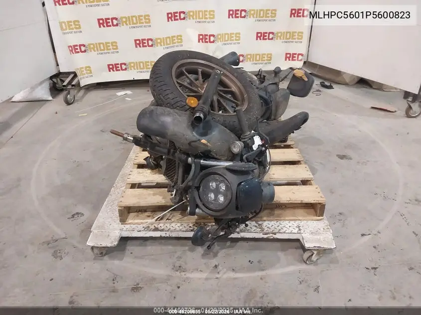 2023 Honda Cmx500 VIN: MLHPC5601P5600823 Lot: 45205655