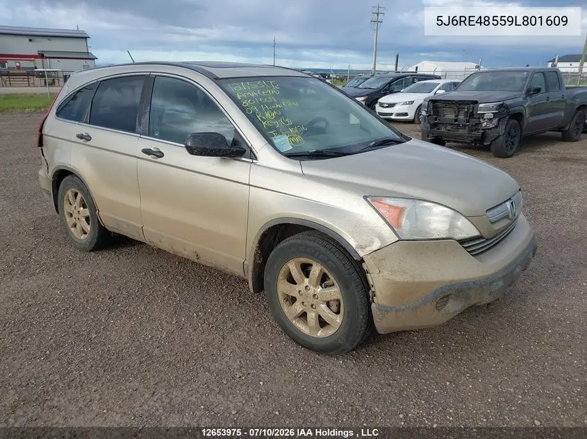 2009 Honda Cr-V Ex VIN: 5J6RE48559L801609 Lot: 12653975