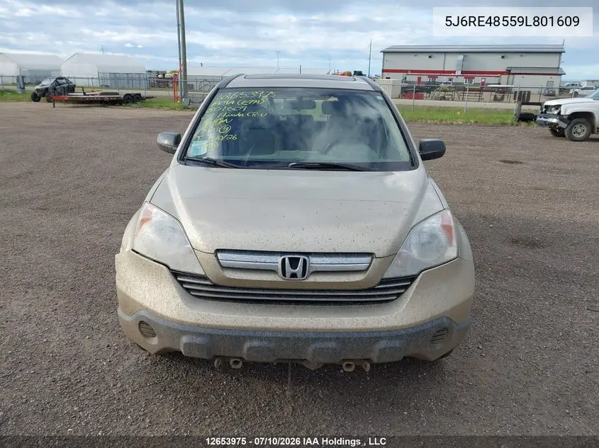 2009 Honda Cr-V Ex VIN: 5J6RE48559L801609 Lot: 12653975