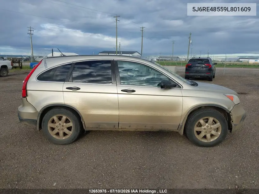 2009 Honda Cr-V Ex VIN: 5J6RE48559L801609 Lot: 12653975