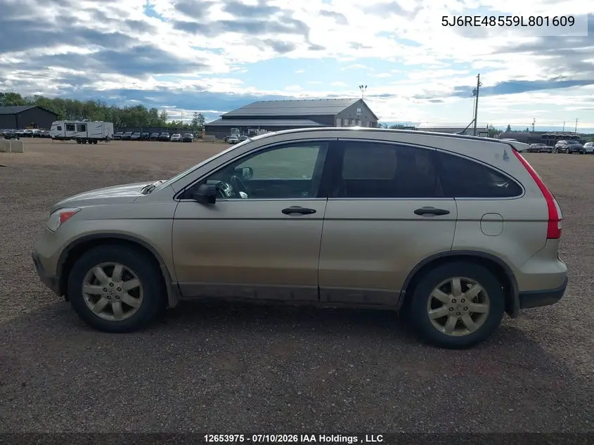 2009 Honda Cr-V Ex VIN: 5J6RE48559L801609 Lot: 12653975