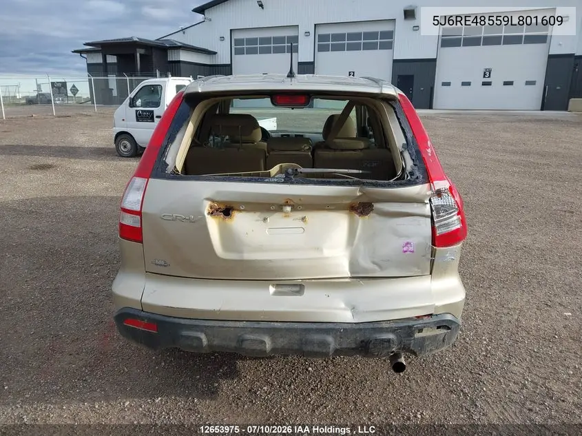 2009 Honda Cr-V Ex VIN: 5J6RE48559L801609 Lot: 12653975