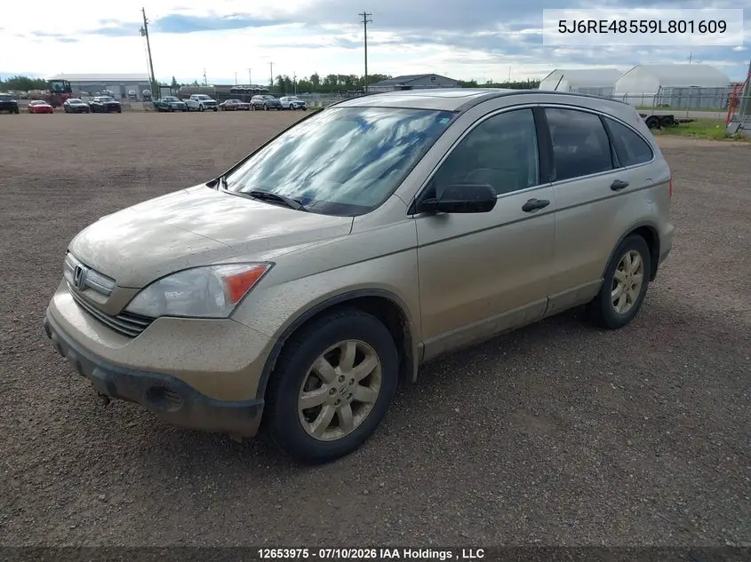 2009 Honda Cr-V Ex VIN: 5J6RE48559L801609 Lot: 12653975
