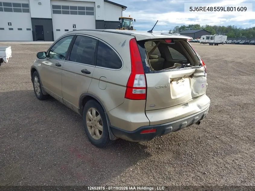 2009 Honda Cr-V Ex VIN: 5J6RE48559L801609 Lot: 12653975
