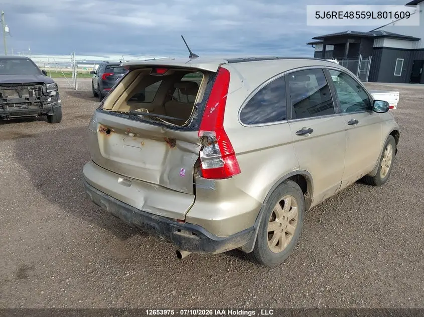 2009 Honda Cr-V Ex VIN: 5J6RE48559L801609 Lot: 12653975