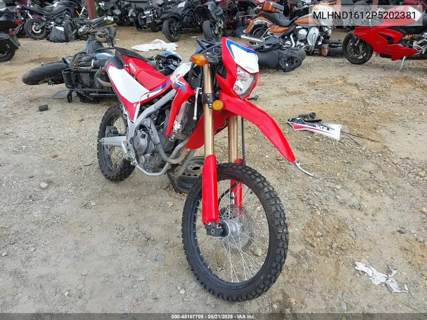 2023 Honda Crf300 L VIN: MLHND1612P5202381 Lot: 45167709