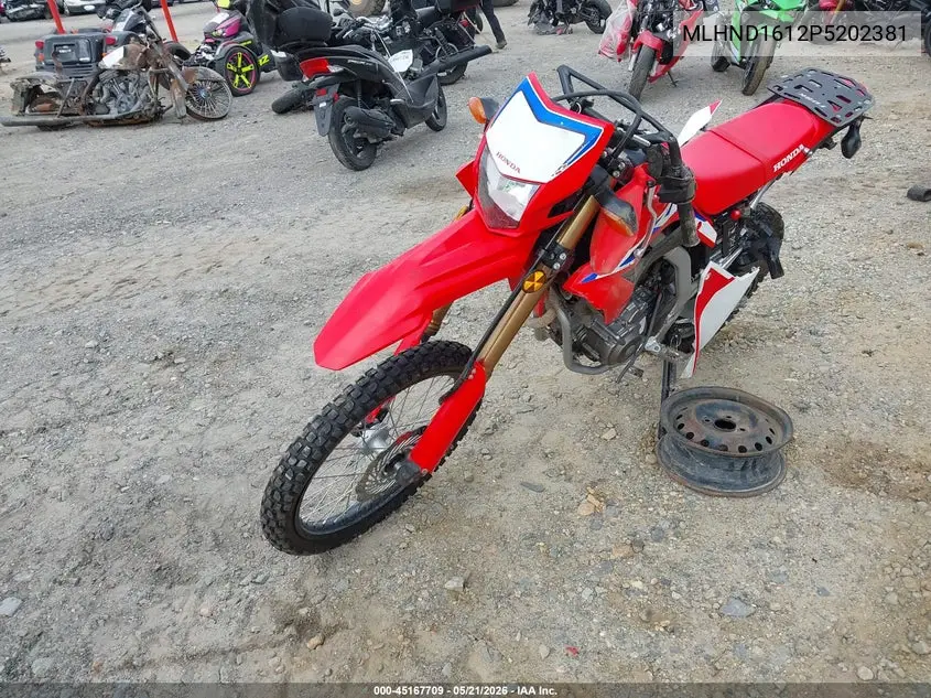 2023 Honda Crf300 L VIN: MLHND1612P5202381 Lot: 45167709
