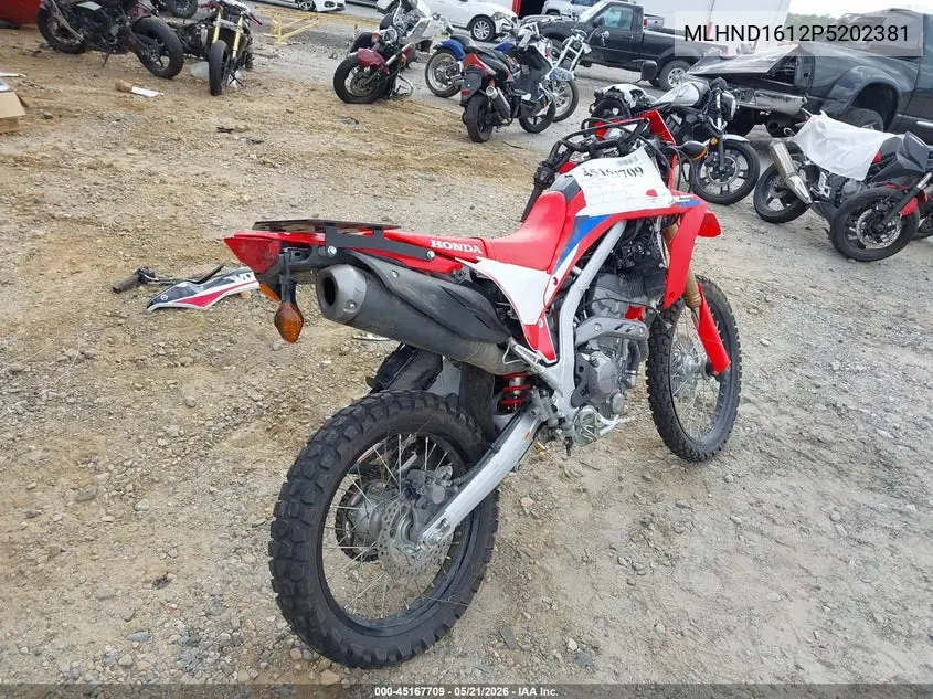 2023 Honda Crf300 L VIN: MLHND1612P5202381 Lot: 45167709