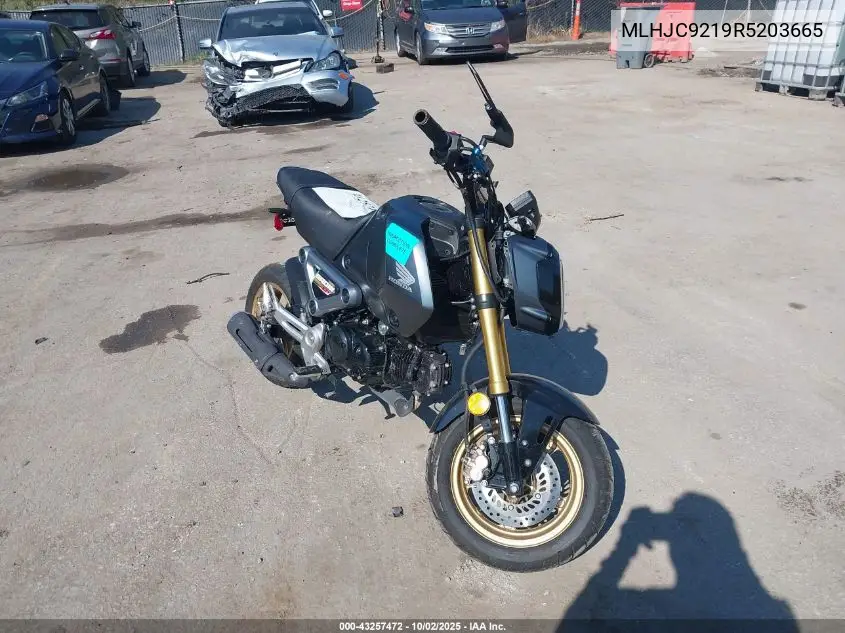 2024 Honda Grom 125 VIN: MLHJC9219R5203665 Lot: 43257472