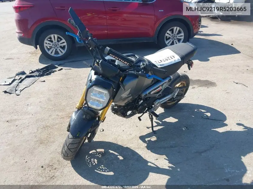 2024 Honda Grom 125 VIN: MLHJC9219R5203665 Lot: 43257472