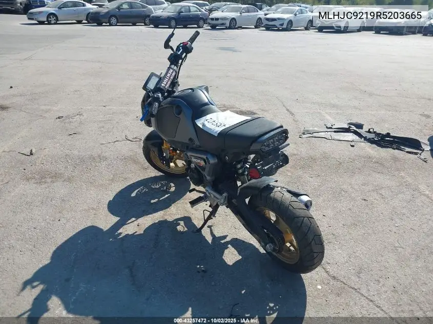 2024 Honda Grom 125 VIN: MLHJC9219R5203665 Lot: 43257472